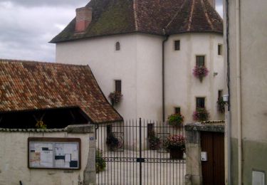 Randonnée A pied Villey-Saint-Étienne - Circuit Sous les charmes du Vieux Canton - Photo