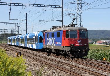 Percorso A piedi Hendschiken - Meiengrüen - Hendschiken - Photo