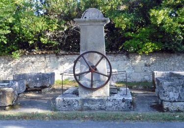 Trail Walking Talmont-sur-Gironde - 17 - Talmont - Le Fâ - barzan plage   8km500 - Photo