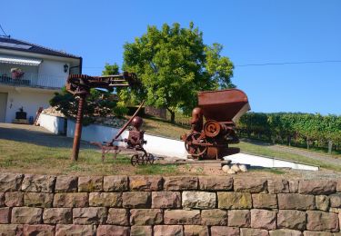 Trail Walking Orschwihr - Orschwihr-Val de Pâtre  - Photo