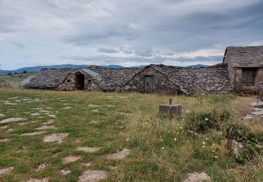 Excursión Senderismo Fraissinet-de-Fourques - vers le veygalier à frayssinet de fourgues - Photo