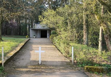 Percorso Bici da strada Saulny - notre dame du gros chene - Photo