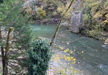 Trail Walking Izernore - Tout de l’Oignin - Photo