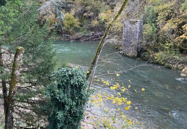 Tocht Stappen Izernore - Tout de l’Oignin - Photo