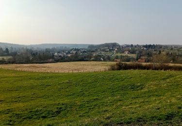 Trail Walking Beuvardes - Beuvardes du 05/03/2022 - Photo