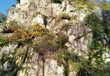 Trail Walking Montbron - La rando de la Tardoire à Montbron - Photo