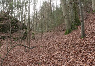 Tocht Te voet Pretzfeld - Rundweg Unterzaunsbach-Schweinthal - Photo