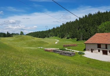 Randonnée Marche Les Moussières - jura 22 juin19  hors piste - Photo