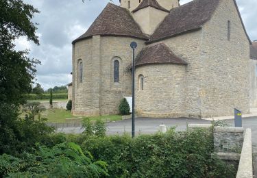 Tour Wandern Arthez-de-Béarn - GR 65 Artez en Béarn > Sauvelade  - Photo