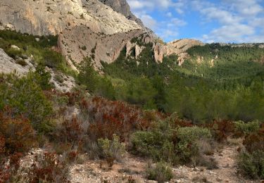 Trail Walking Saint-Antonin-sur-Bayon - st victoire les oratoires - Photo