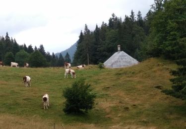 Percorso Marcia Vallorbe - Vallorbe La Dent du Vaulion Fort du Pré Giroud 4 août 2020 CAF - Photo