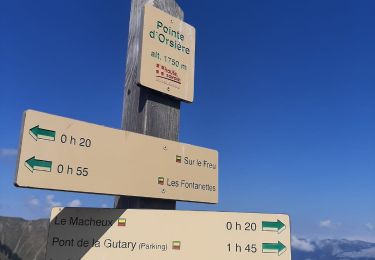 Trail Walking Manigod - ARAVIS: POINTE D'ORSIERE - Photo