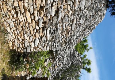 Tocht Stappen Saint-Saturnin-lès-Apt - Savouillon - Le Cluyer - Photo