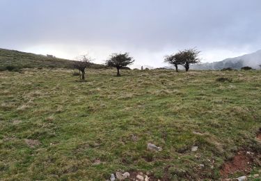 Tocht Stappen Baztan - Col de Belate - saioa - Photo