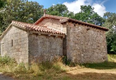 Tocht Te voet Valdeprado del Río - Ruta de Arcera a la Ermita de los Remedios - Photo