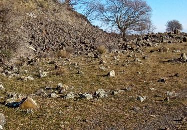 Excursión Senderismo Alba-la-Romaine - rocher de Sceautres  - Photo