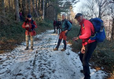 Tocht Stappen La Cadière-et-Cambo - de la cadiere à Cambo - Photo