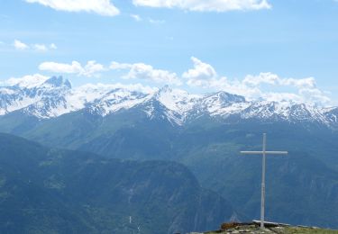 Tocht Te voet Saint-Michel-de-Maurienne - Le Thyl la Croix de Beaumollard - Photo