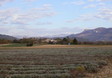 Trail Walking Portes-en-Valdaine - GPX-Rando-Plaine-Portoise-nouvelleversion - Photo