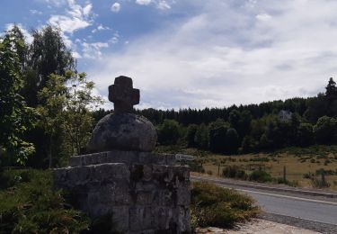 Trail Walking Peyre en Aubrac - le rocher du Cher - Photo