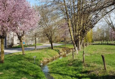 Randonnée Marche Sans-Vallois - Jésonville : circuit des monts Faucilles (ou des 4 éoliennes !) - Photo