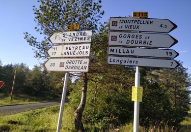 Randonnée Vélo de route Meyrueis - gorges de la jonte et causse noir - Photo