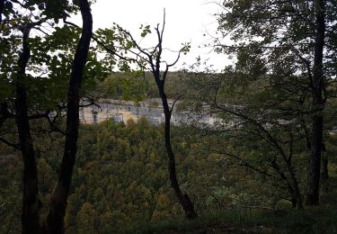 Tocht Stappen Bonlieu - Cascades du Hérisson - Photo