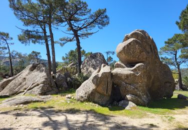 Tour Wandern San-Gavino-di-Carbini - Cascade Piscia di Ghjaddu (ou Piscia du Gallu) - Photo