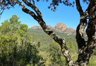 Tour Wandern Roquebrune-sur-Argens - Les 25 ponts - Photo