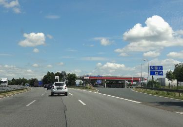 Percorso A piedi Herborn - Hessentagswanderweg - Photo