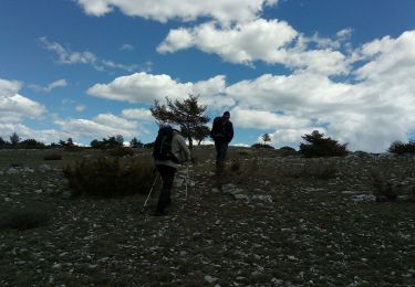 Tour Wandern Saint-Auban - Tous les 4 à St Auban - Photo