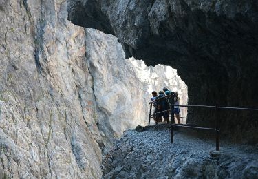 Excursión A pie Scuol - Alp Sursass (2140m) - Rims - Photo