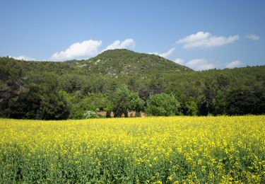 Tour Zu Fuß Porqueres - Ruta de l’Estany a les coves de Serinyà - Photo