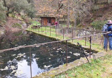 Tour Wandern Planzolles - moulin de Marceau planzolles - Photo