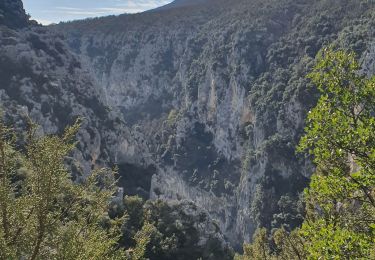 Excursión Senderismo La Palud-sur-Verdon - 2023-03-24 Bastidon - Ravin du Brusc - Photo