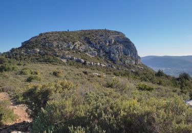 Tocht Stappen Aubagne - Font de Mai Garlaban - Photo