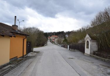 Randonnée A pied Český Krumlov - [Ž] Český Krumlov - Vyšný - Photo