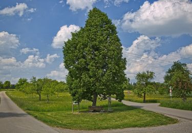 Excursión A pie Gärtringen - Gärtringer Rundweg 1 - Photo