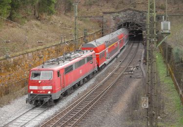 Randonnée A pied Forst Hain im Spessart - Kulturweg Spessartrampe - Photo