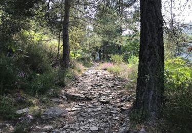 Randonnée A pied Saint-Mélany - Le sentier des Lauzes - Photo