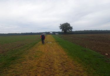 Tocht Trail Châteauneuf-sur-Cher - Châteauneuf sur cher - Photo