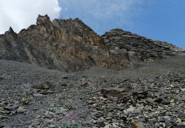 Randonnée Marche Saint-Dalmas-le-Selvage - Tête de l'Enchastraye en boucle - Photo