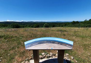 Trail Nordic walking Labastide-en-Val - Michel_Picard_2022-05-29_09-51-49 - Photo