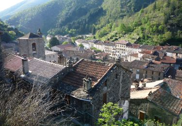 Percorso A piedi Val-d'Aigoual - Les 4000 marches - Photo