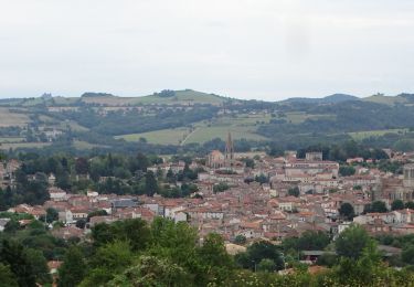 Randonnée Marche Billom - Blllom le petit turluron - Photo