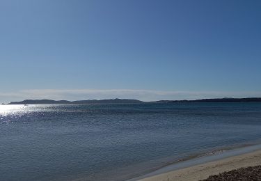 Tour Wandern Hyères - La Capte Tour fondue - Photo