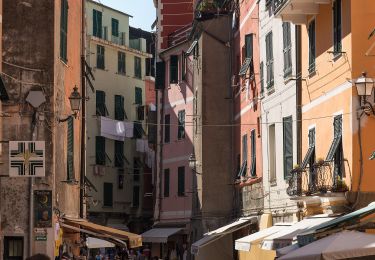 Tour Zu Fuß Vernazza - Vernazza – Mad. di Reggio – F.ce di Drignana - Photo