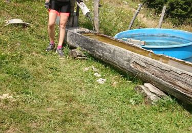 Excursión Bici de montaña Hauteluce - VTT les Saisies - Photo