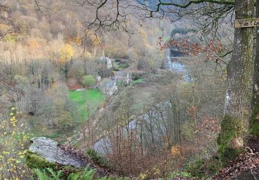 Excursión Senderismo Bouillon - Cordemois-Corbion-Moulin de l’Epine - Photo