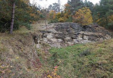 Tocht Te voet Scheden - Rundwanderweg Scheden 3 - Photo